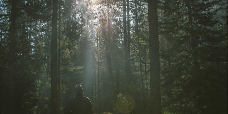 从0到1：SaaS创业公司如何精准捕获商机、打磨项目并赢得投资？