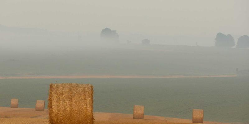 创业公司股权结构设计：创始人如何避开三大陷阱，牢牢掌控商机与融资命脉