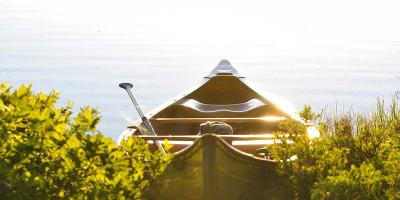 创业团队股权分配指南:避免内耗的五大核心原则与动态调整机制