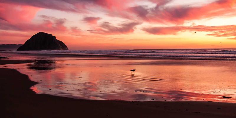 创业者的心理韧性建设：在加盟商机与项目中，如何驾驭高压、孤独与不确定性