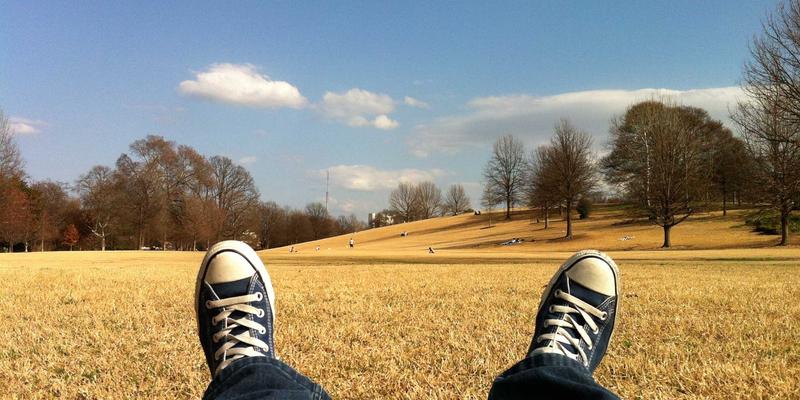 垂直SaaS掘金术：在小池塘做深做透，构建高利润壁垒的赚钱项目