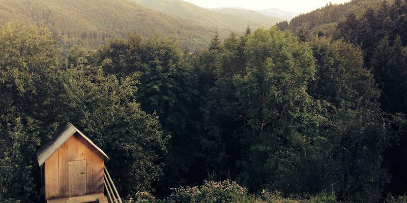 银发经济万亿蓝海:揭秘适老化产品背后的暴利商机与创业项目